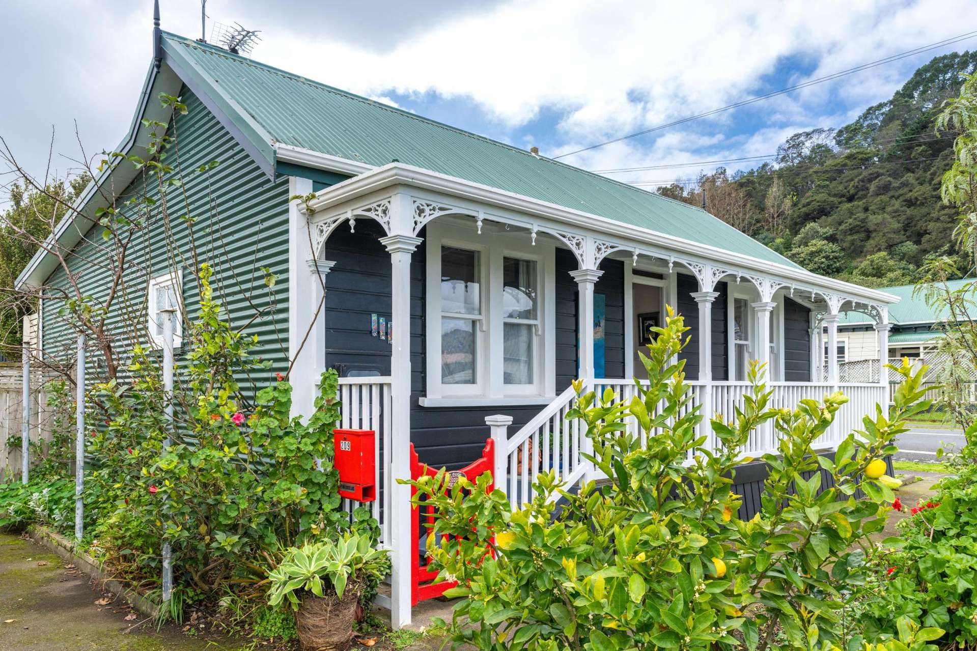 209 Williamson Street Thames_0