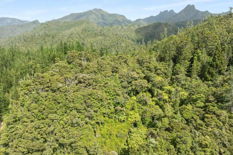 112 Hikuai School Road, Hikuai Tairua_23