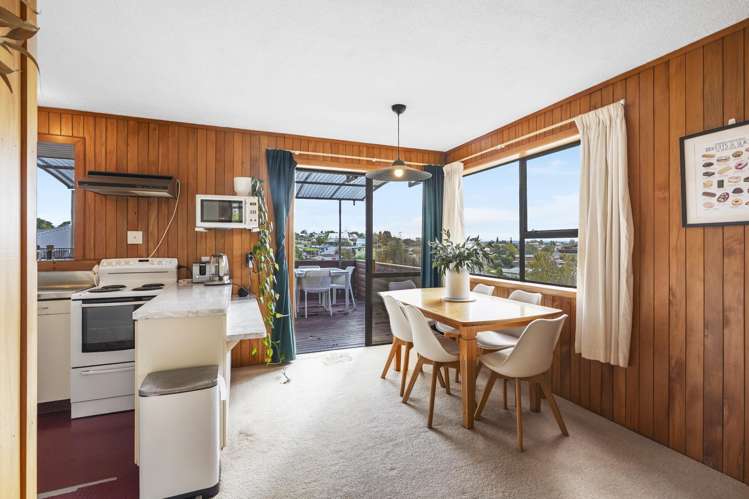 11 Thomson Avenue Dinsdale_6