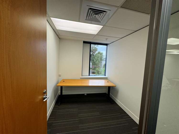 303 Manukau Road Epsom_3