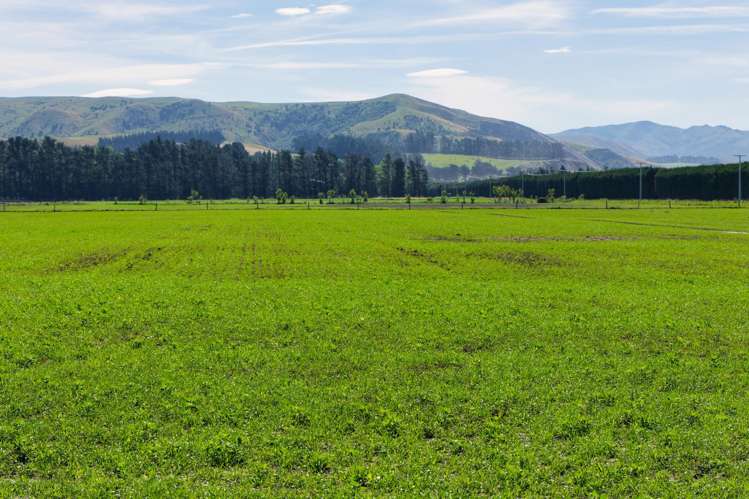 257 Waiau West Road Cheviot_13