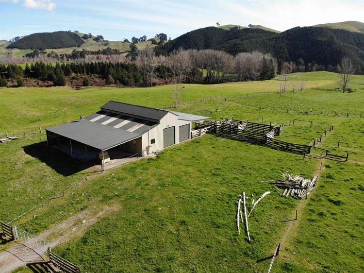 850 Te Kopia Road Waikite Valley_4