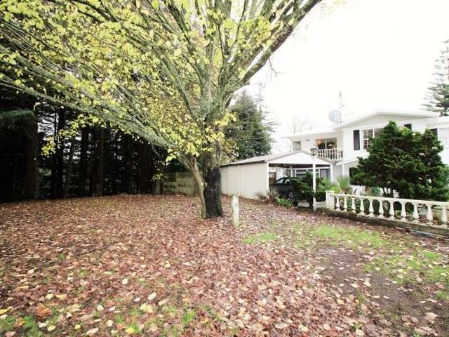 44h Charlemont Street Whitiora_2