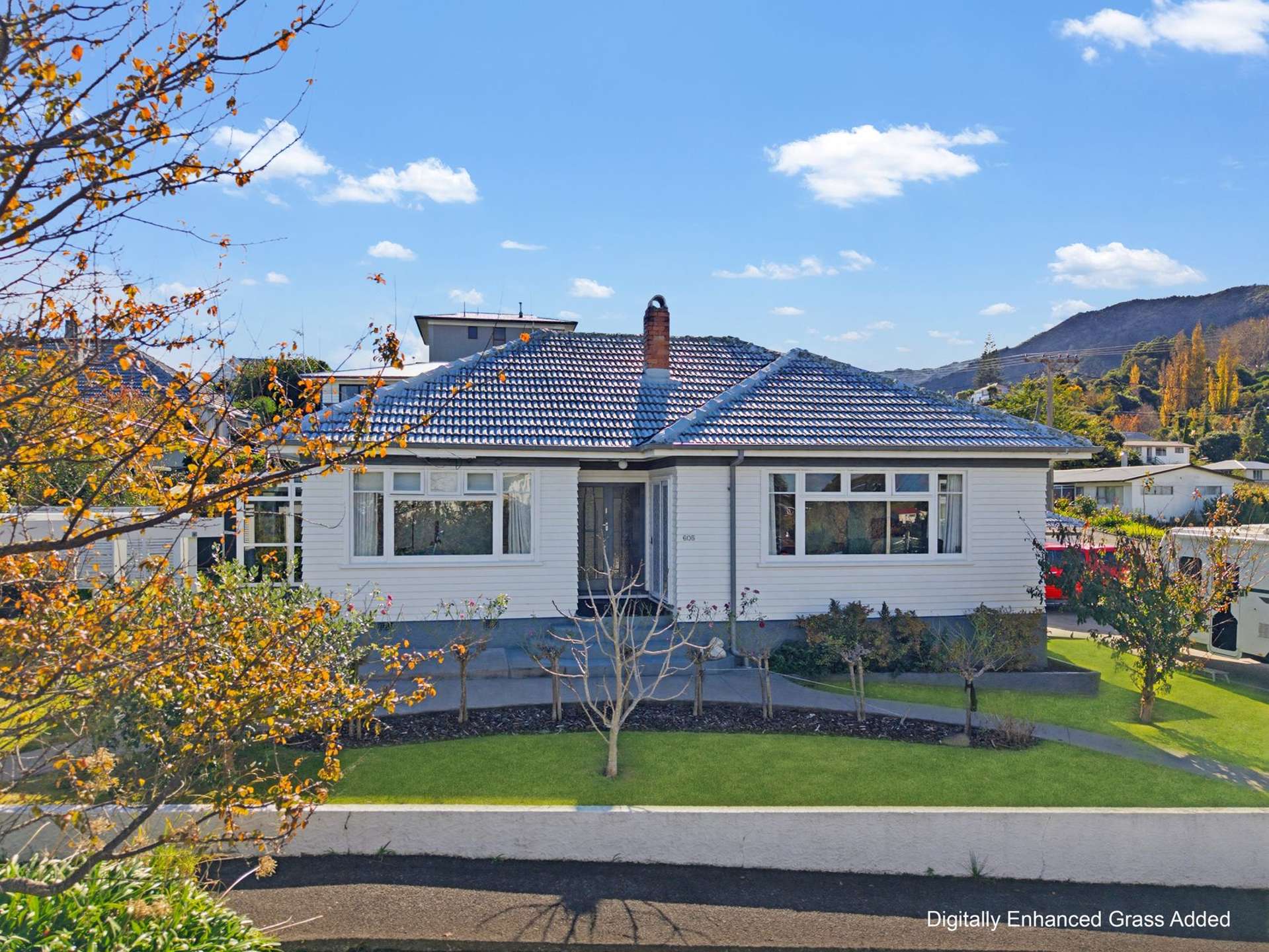605 Sealey Street Thames_0