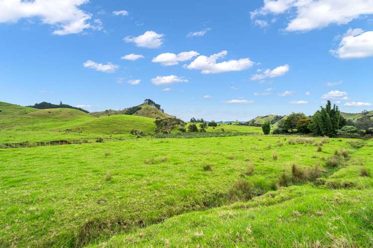 50 Atwell Road Kaeo_34