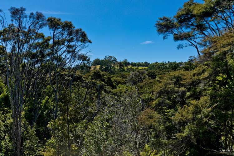 11 Blacks Road Greenhithe_19