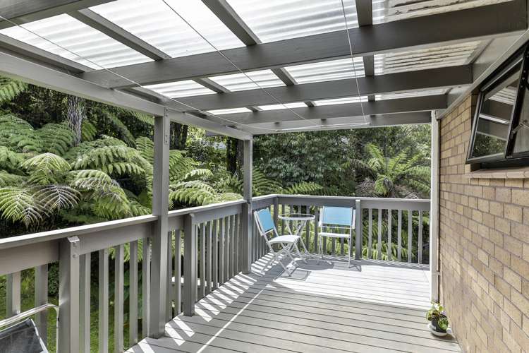 27 Shetland Street Glen Eden_18