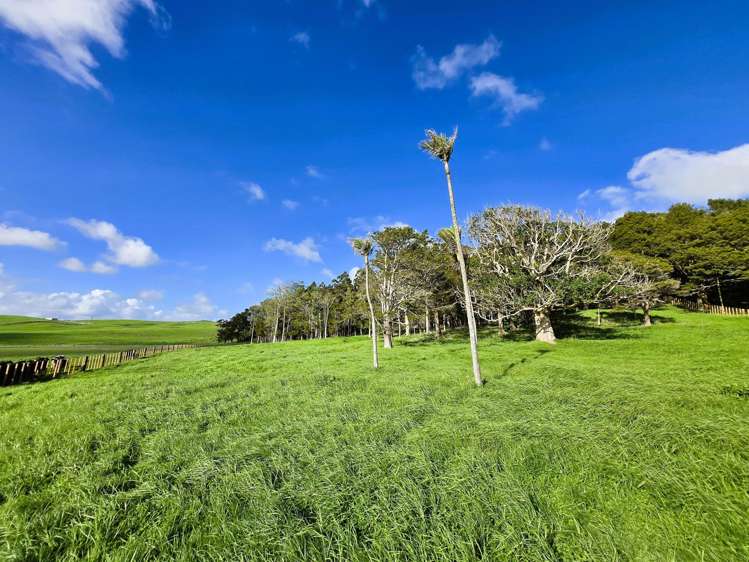 Lot Lot 3 Sills Road Dargaville_14