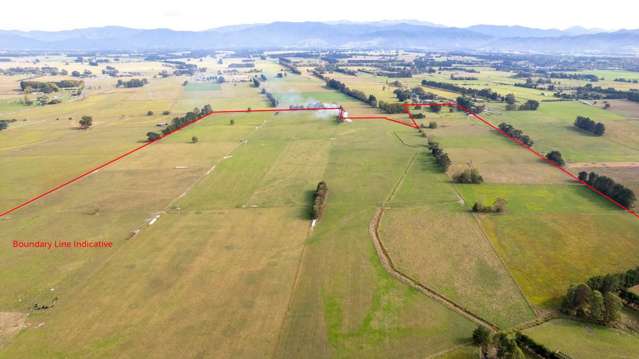Cross Line Greytown_1