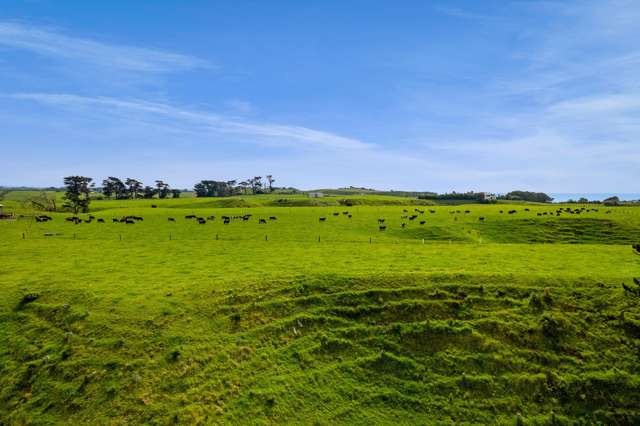 78a Waitoetoe Road Mimi_4