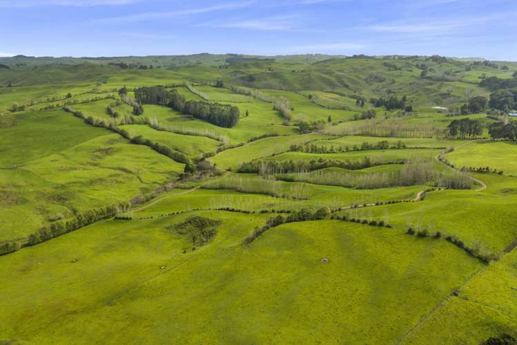 95 Mairoa Road Piopio_2