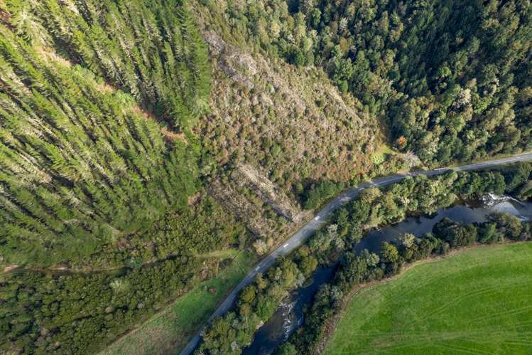 3087 Kawatiri-Murchison Highway Murchison_11