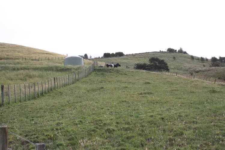 319 Quine Road Tahuna_19