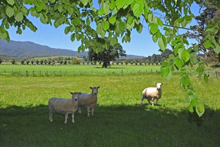 2072 Lake Ferry Road Pirinoa_7