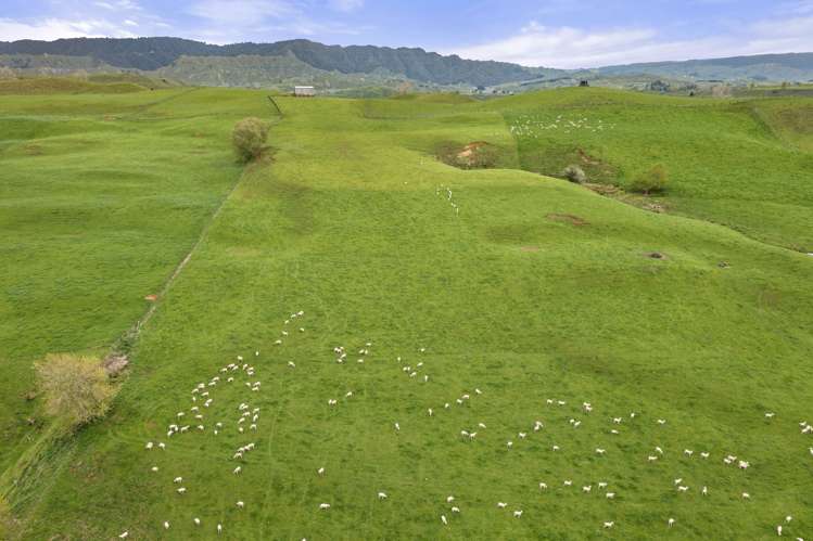 80 Parakoko Road Aria_17