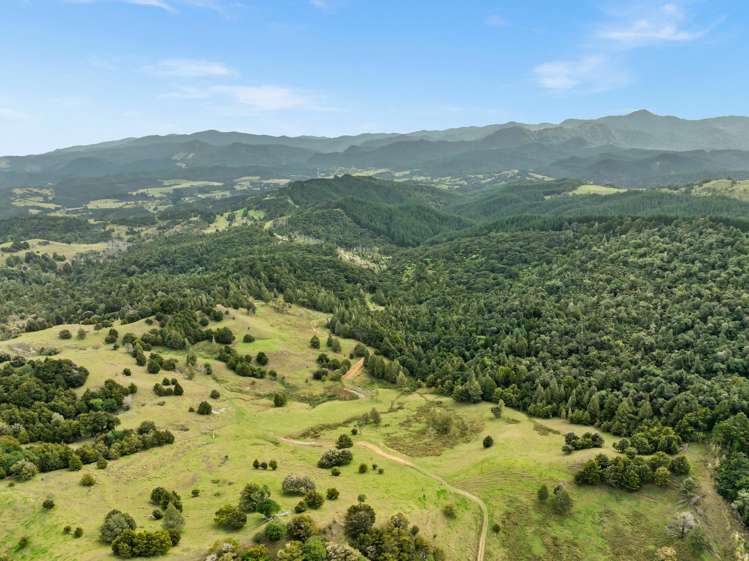 535 Omahuta Road Mangamuka_32