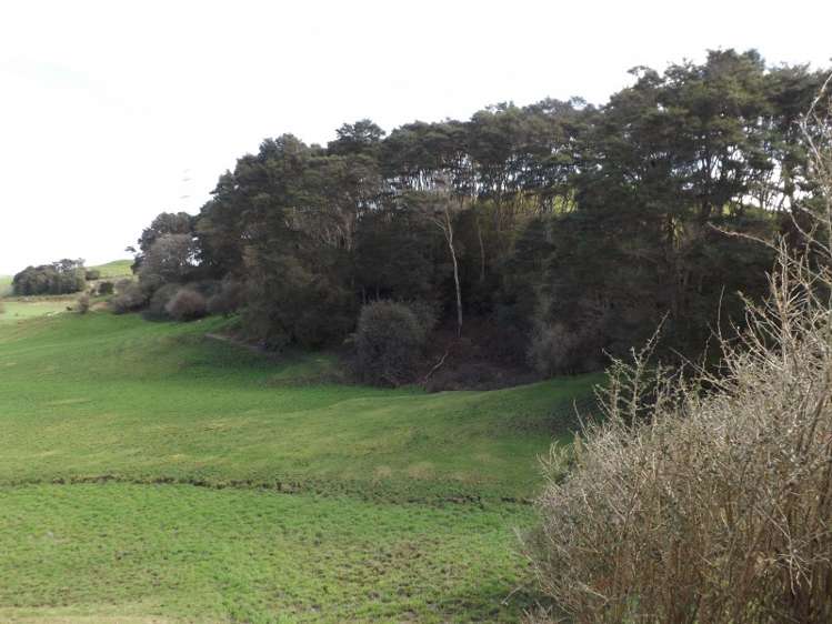 365 Tauhei Road Morrinsville_1