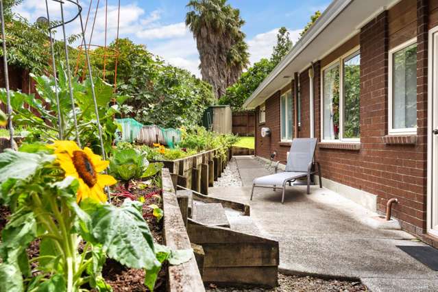 37 Milan Drive Glen Eden_2