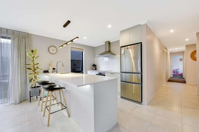 24 Kahikatea Way Richmond_2