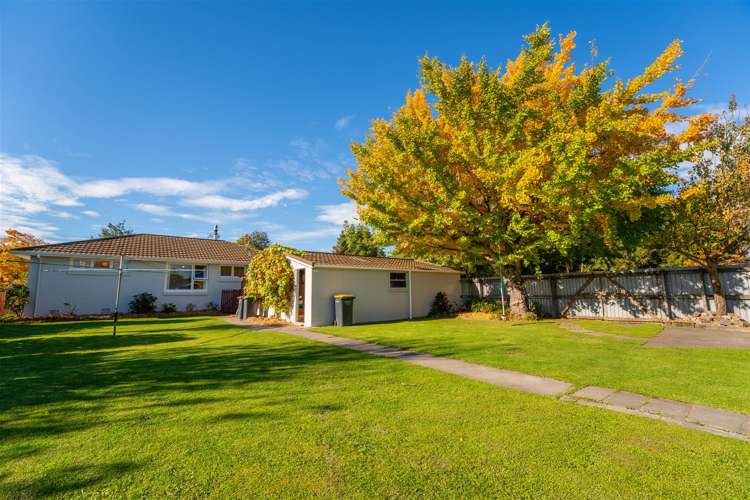 53 Campbell Street Geraldine_19