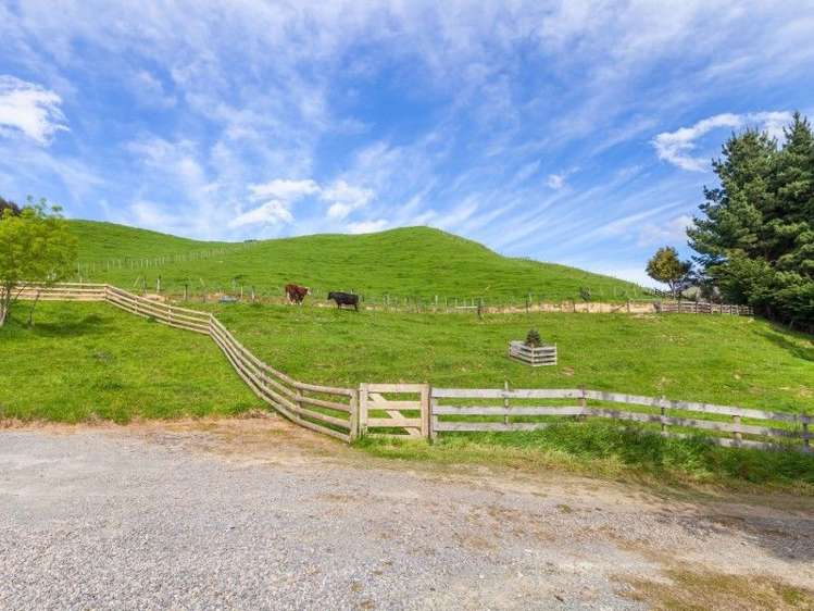 77c Johnsons Road Whitemans Valley_21