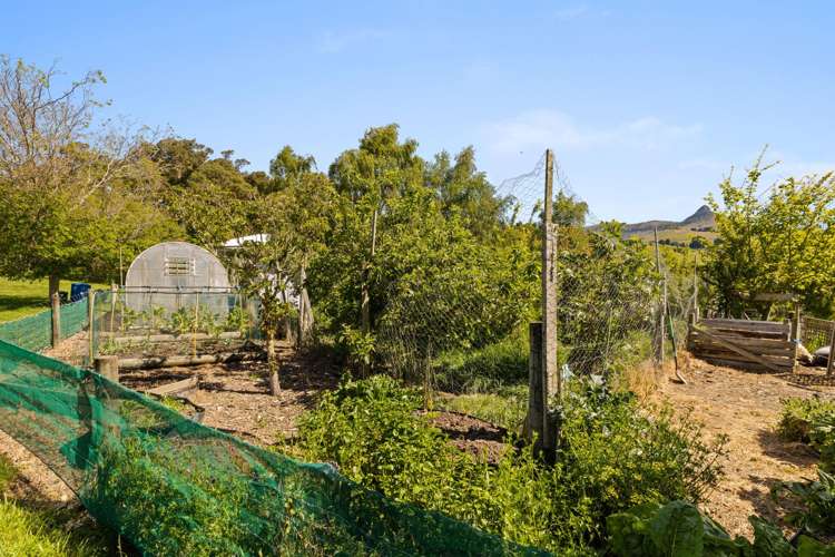 893 Purau Port Levy Road Port Levy_24