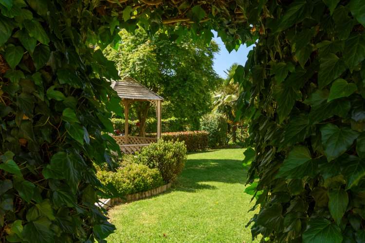 162 Carlton Street Bellevue_11