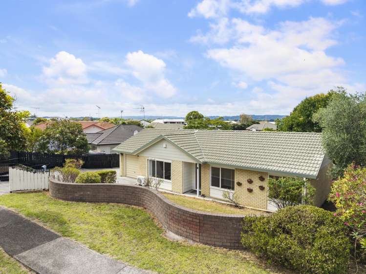 1 Skelton Avenue Randwick Park_11