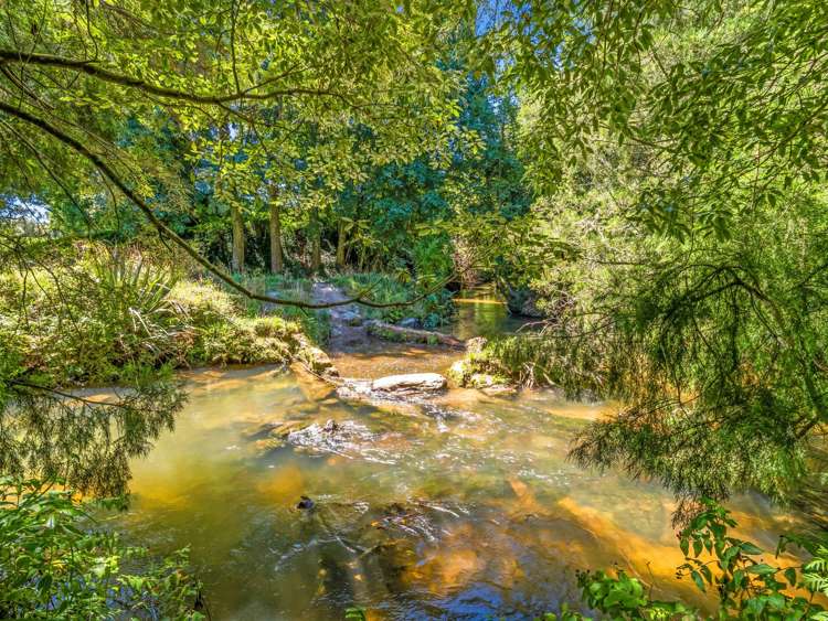 35 Kokiri Street Ngongotaha_34