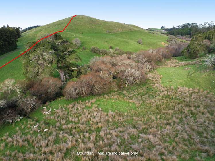 173 Dunn Road Ararimu_29