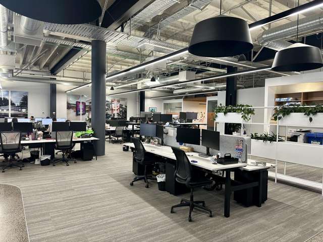 22 Pollen Street Grey Lynn_2