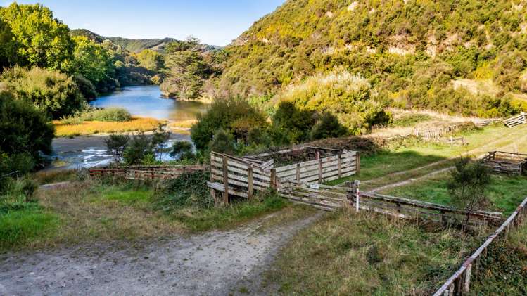 1519 Tangahoe Valley Road Hawera_14