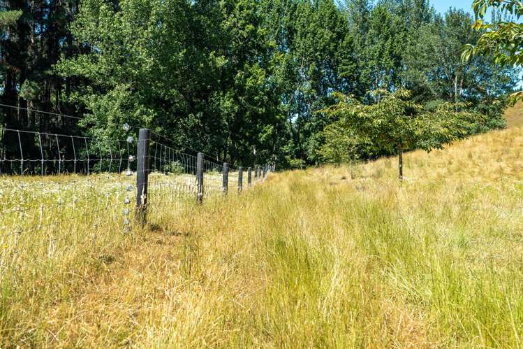 300 Sunday Creek Road Thorpe_42