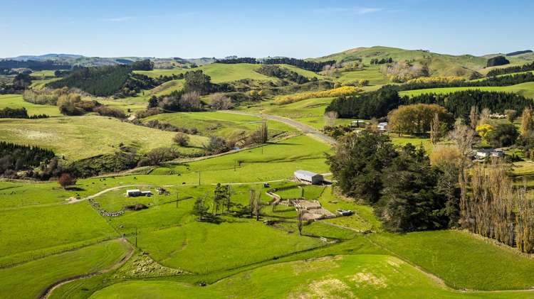 3503 Porangahau Road Porangahau_13