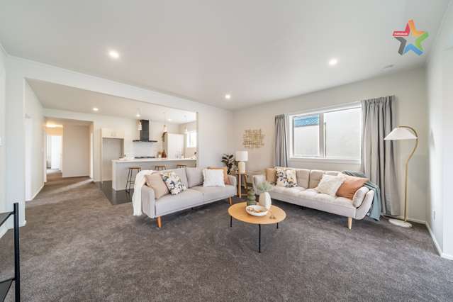 221 The Esplanade Petone_1