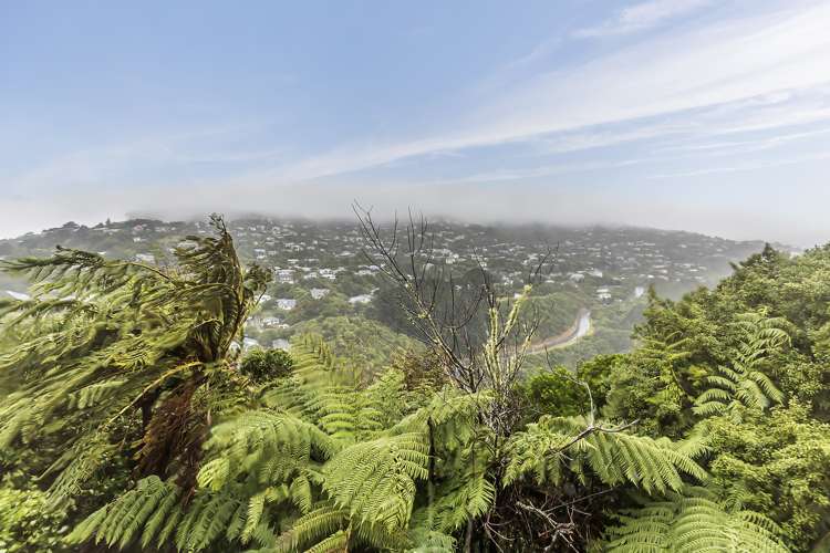 45 Chartwell Drive Crofton Downs_9