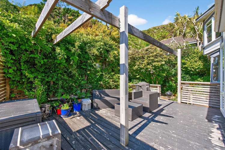 31 Nikau Street Eastbourne_23