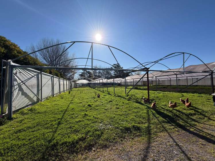 18 Brigham Creek Road Whenuapai_14