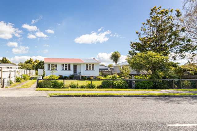 20 Pukatea Street Inglewood_3