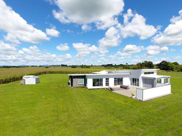 382 Taukoro Road Morrinsville_1