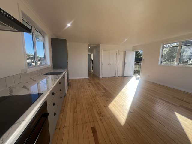 111 Pembroke Street Hamilton Lake_2