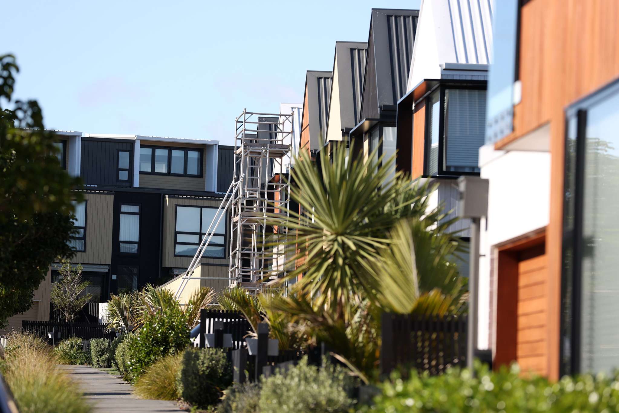 The houses that are changing face of Auckland