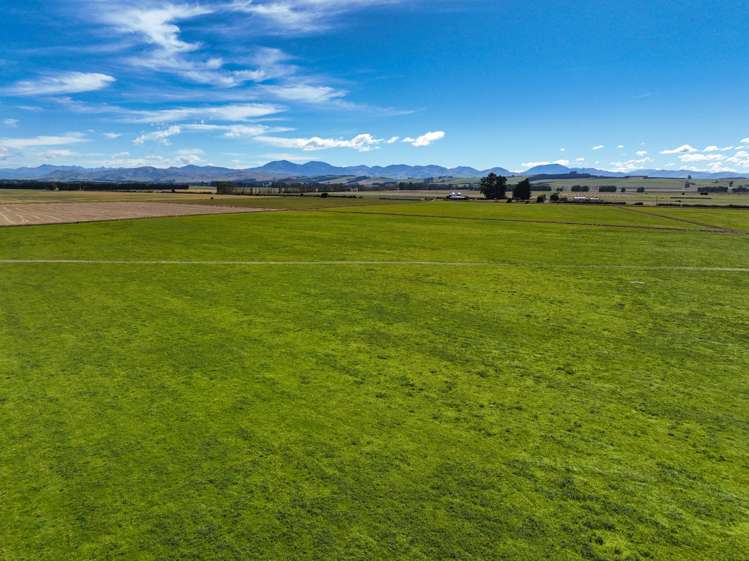 486 Steffan Road St Patricks_10