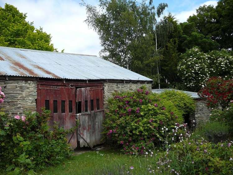 28 Swindon Street Ophir_21