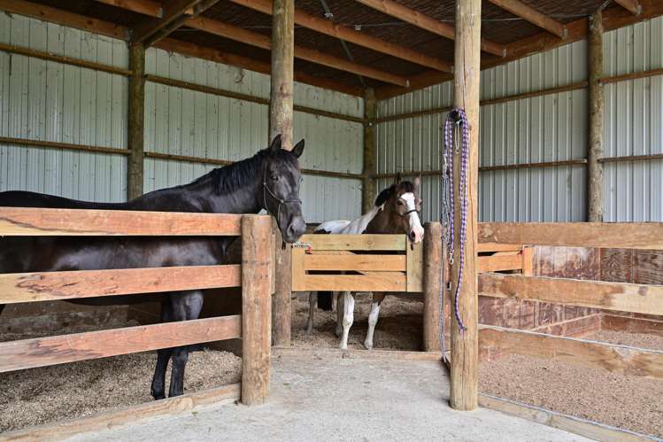 65b Ngakoroa Road Ormond_17