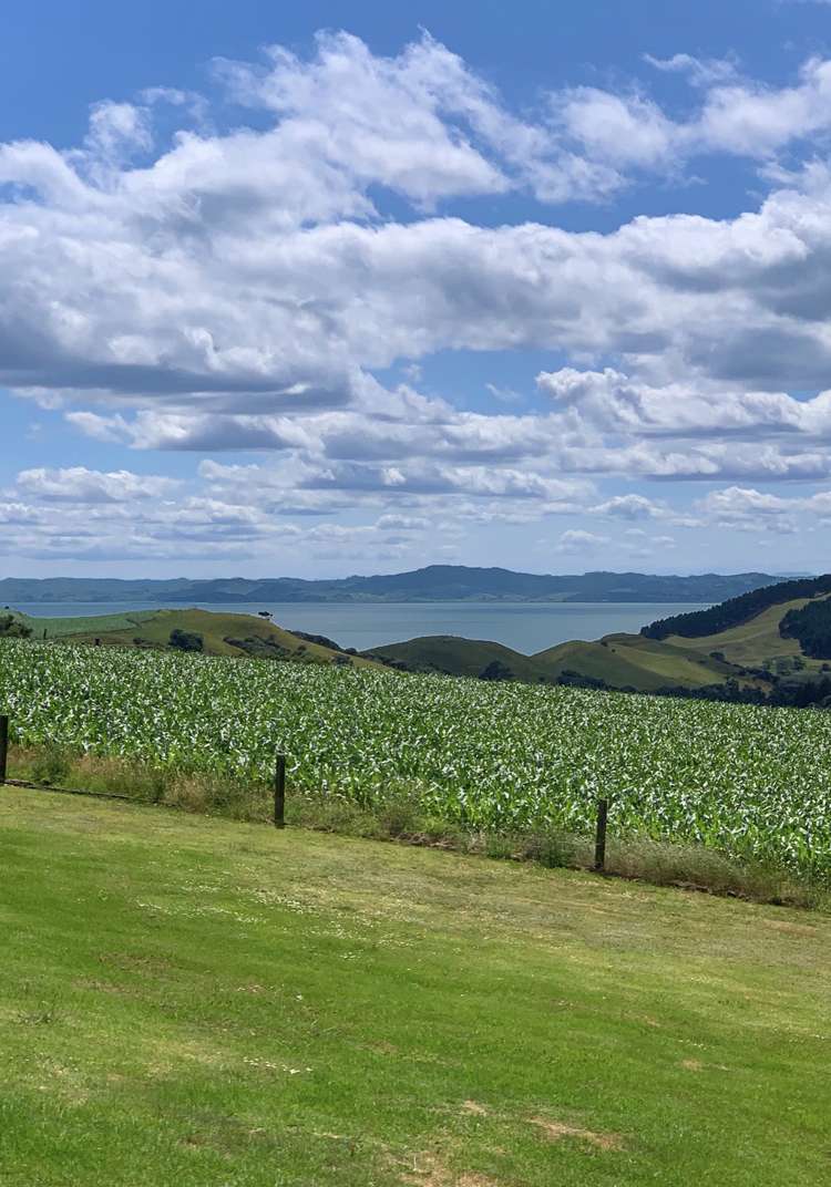 2822 South Head Road South Head_10