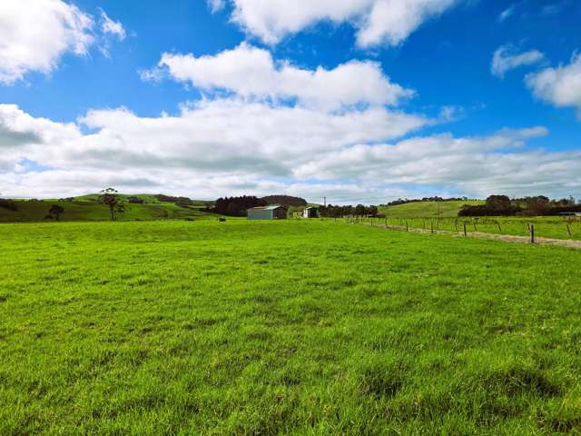 6320 State Highway 12 Dargaville_3
