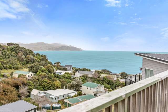 41 Balfour Crescent Castlepoint_1