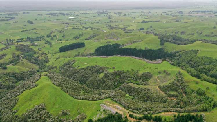 944 Waiti Road Tahuna_2