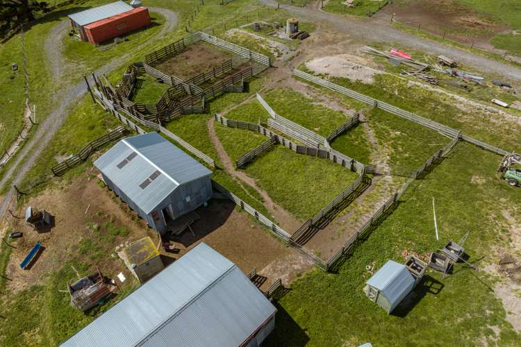 7797 State Highway 1 Ward_20